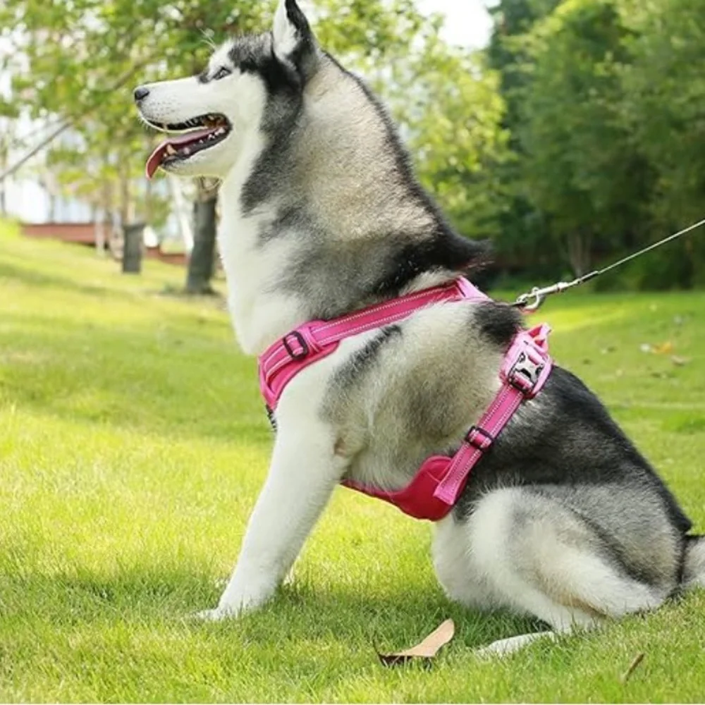 Voyager Pink Dog Harness